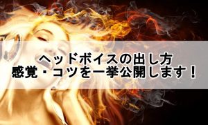 歌い手紹介 第十六弾 花たん 紹介と歌声の特徴について解説 歌い手部