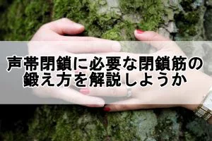 歌い手紹介 第二弾 96猫 紹介と歌声の特徴について解説 歌い手部