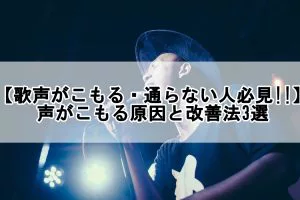 歌声がこもる 通らない人必見 声がこもる原因と改善法3選 歌い手部